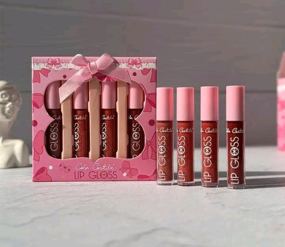 4 Pcs High Pigmented Multicolor Matte Lip Gloss Set